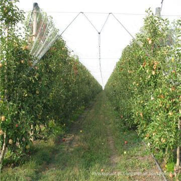 Proteção das plantas anti rede da saraiva / malha da prova inseto da estufa / produtos plásticos agrícolas preço da rede da Anti-Abelha